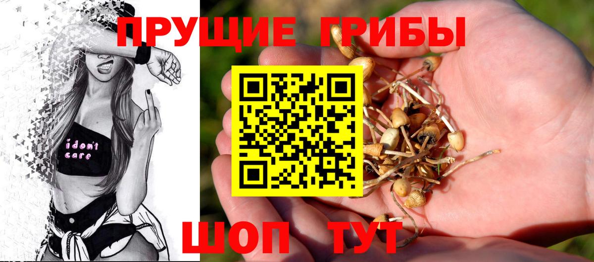 Новочебоксарск  Галлюциногенные грибы прущие грибы  Вход с VPN 